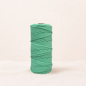 COLA DE RATA 3 MM X 100 METROS