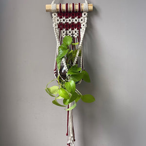 CLASE + KIT MATERIALES PORTAMATEROS NUDONINA